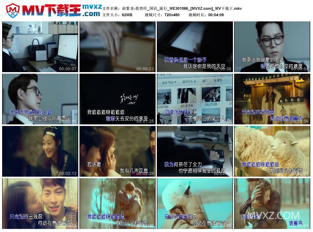 赵紫龙-我曾经_国语_流行_ME301586